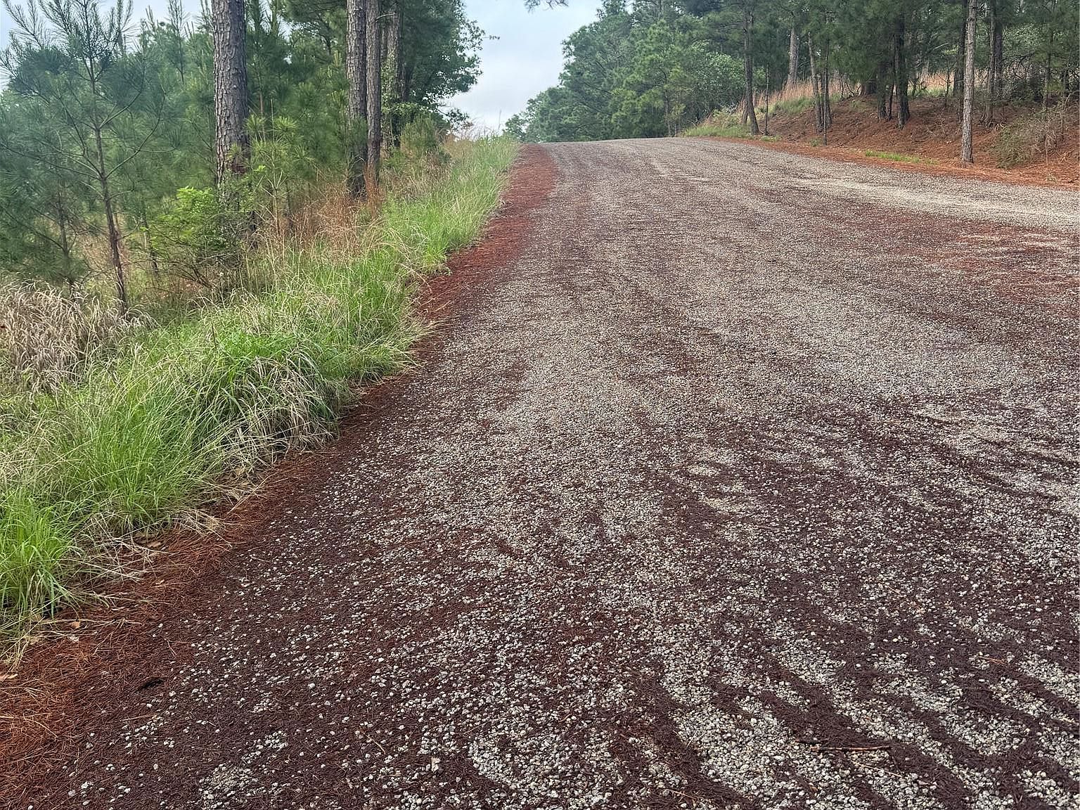 LOT 1490 Haleakala Dr Bastrop, TX 78602 - Thumbnail 2