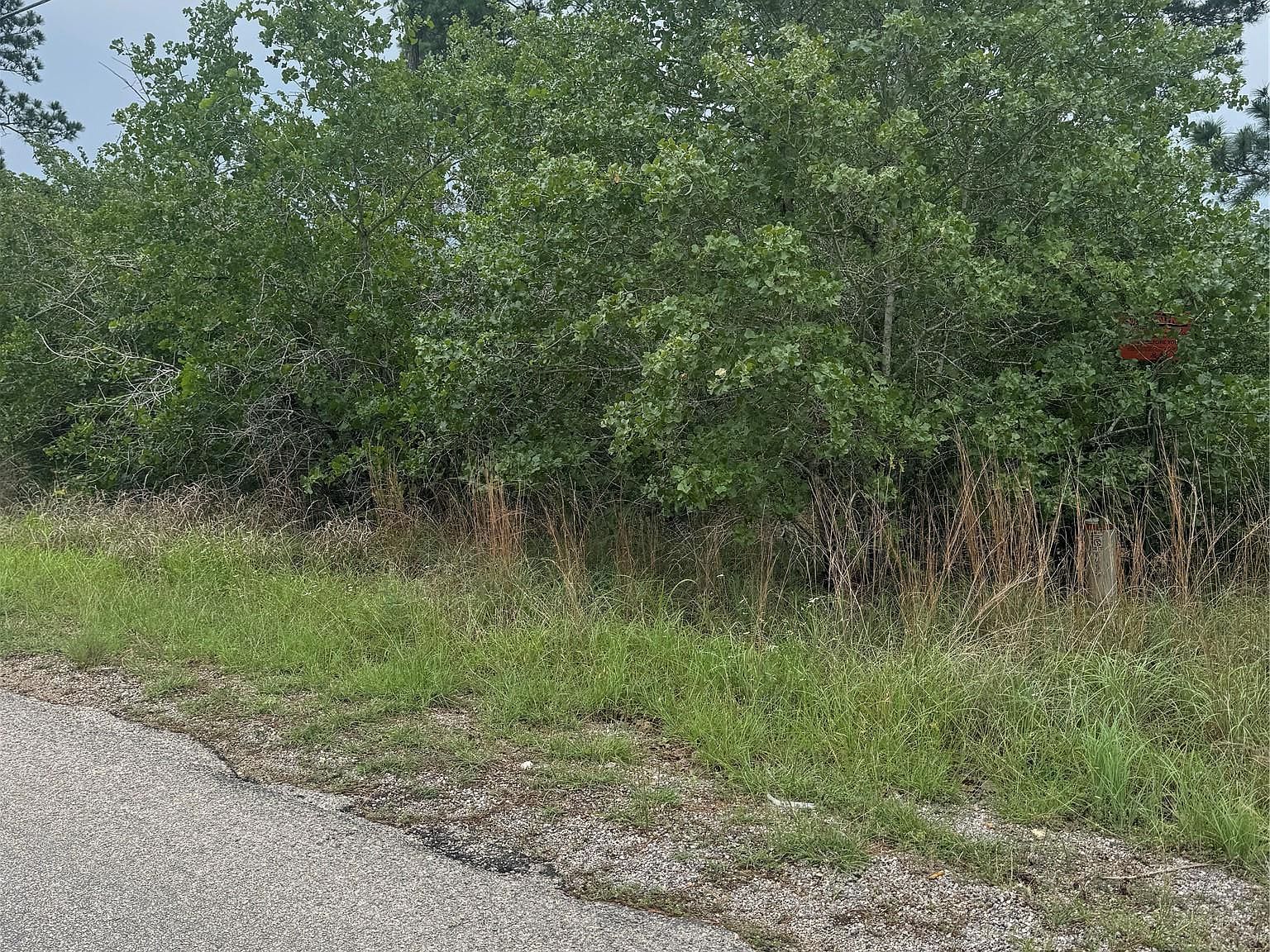 LOT 1613 Kaanapali Ln Bastrop, TX 78602 - Thumbnail 2