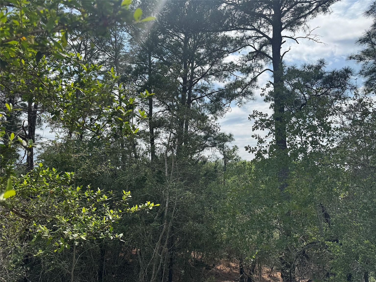 Lots 1263 1264 1265 Hanauma Dr Bastrop, TX 78602 - Thumbnail 2