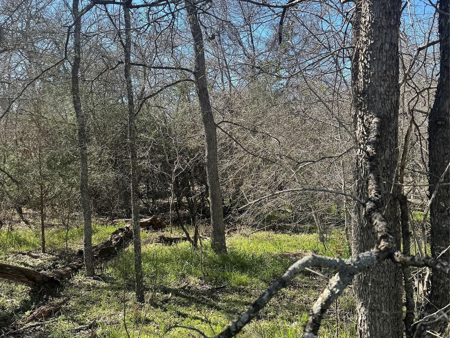 289 Iva Ln Bastrop, TX 78602 - Thumbnail 2