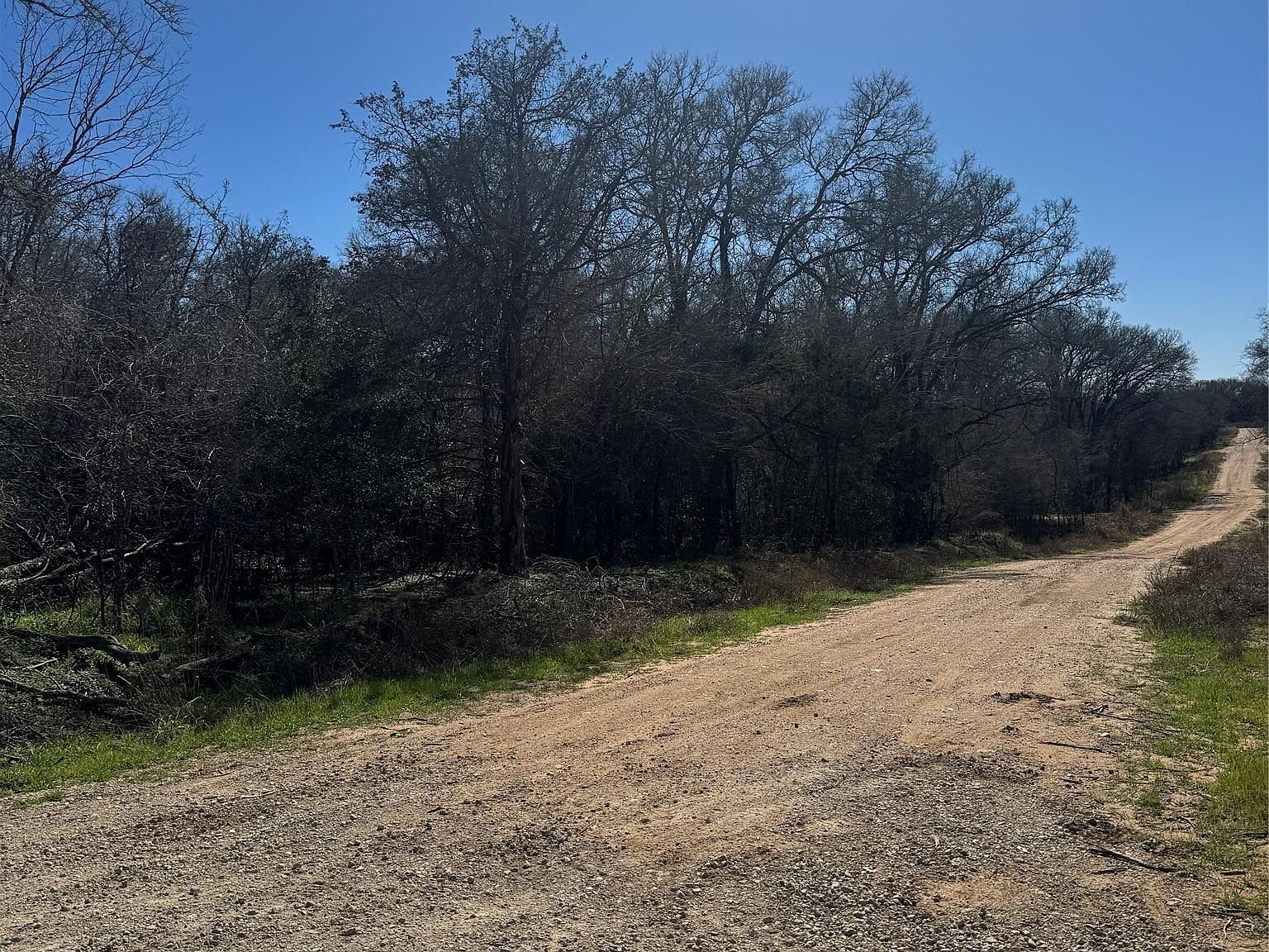 LOT 321 Kolekole Ln Bastrop, TX 78602 - Thumbnail 2
