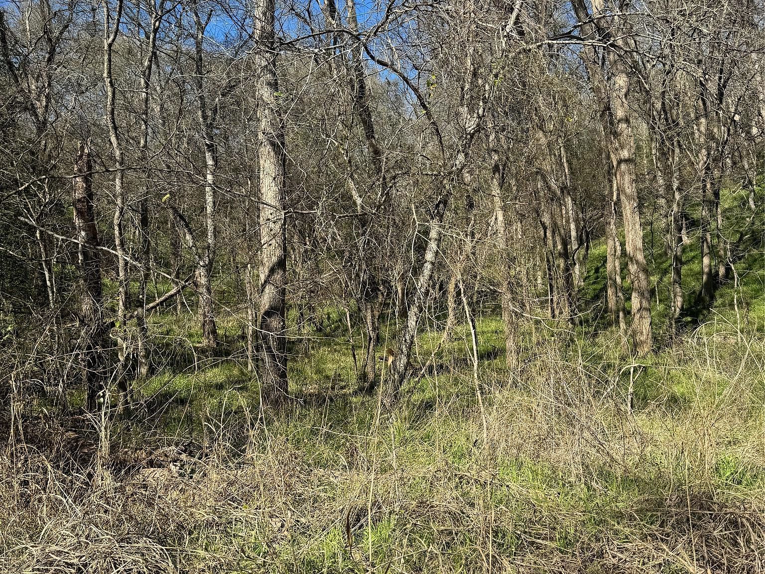 Lots 638 639 640 Kaukonahua Ln Bastrop, TX 78602 - Thumbnail 2