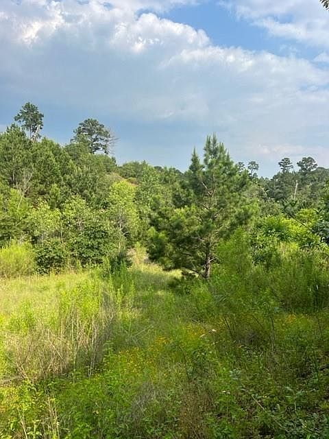 LOT 798 Tahitian Dr Bastrop, TX 78602 - Thumbnail 2