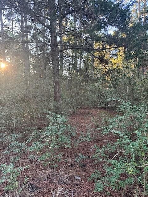 107 Lake Point Way Bastrop, TX 78602 - Thumbnail 2