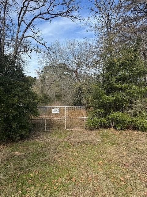LOT 95 Travis Rd Paige, TX 78659 - Thumbnail 2