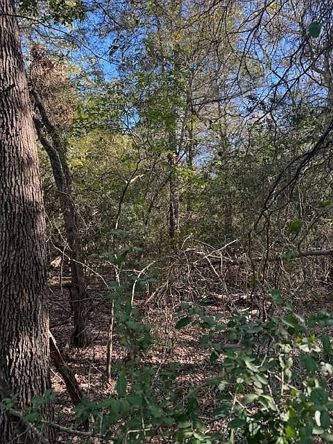 125 Helemano Dr Bastrop, TX 78602 - Thumbnail 2