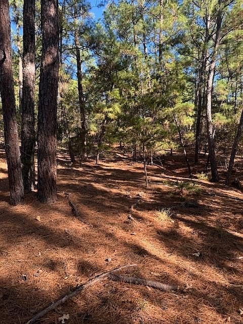 LOT 1395 Kaupa Ct Bastrop, TX 78602 - Thumbnail 2
