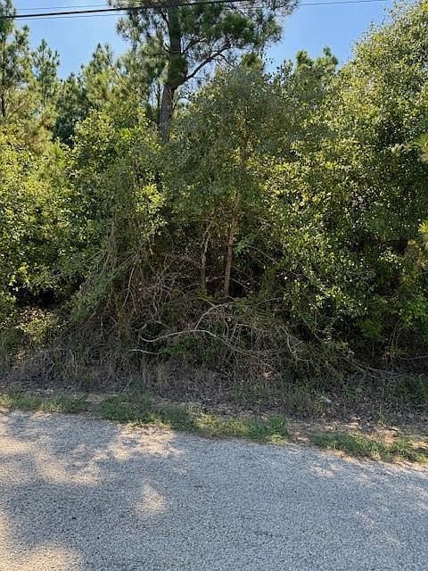 LOT 1355 N Kaupo Dr #1355 Bastrop, TX 78602 - Thumbnail 2