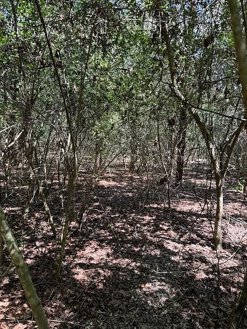 129 Helemano Dr Bastrop, TX 78602 - Thumbnail 2