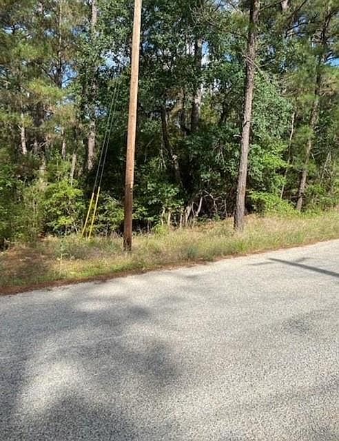 LOT 93 Papawai Dr Bastrop, TX 78602 - Thumbnail 2