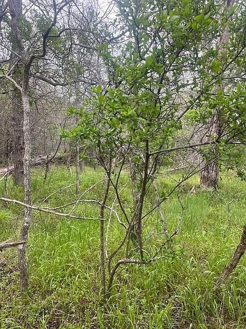 LOT 628 Hilea Ct Bastrop, TX 78602 - Thumbnail 2