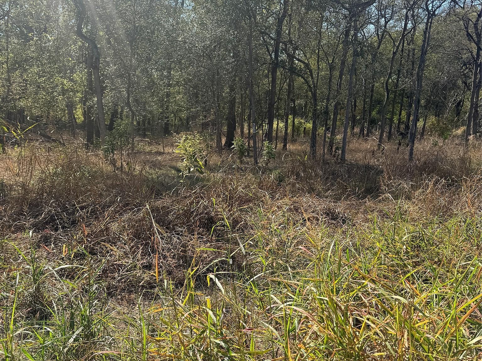 221 Kahana Ln Bastrop, TX 78602 - Thumbnail 2