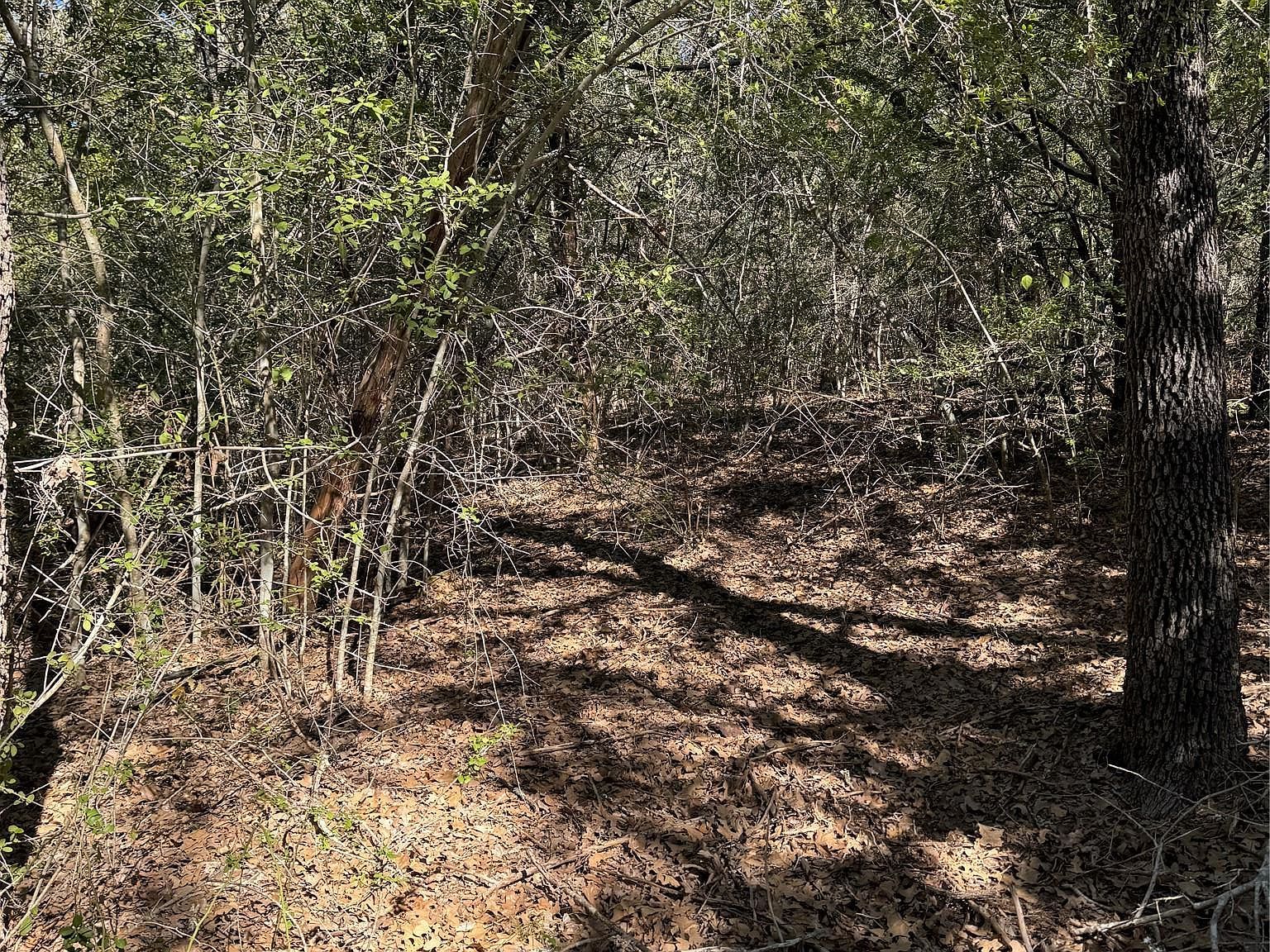 195 Kaelepulu Dr Bastrop, TX 78602 - Thumbnail 2