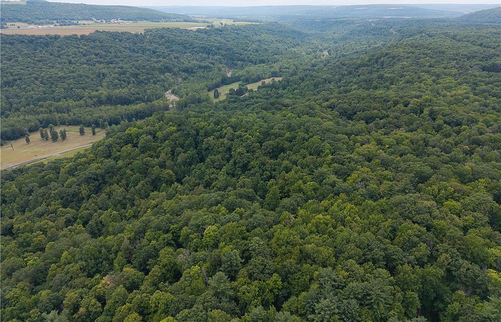 0 Poags Hole Rd #55 Dansville, NY 14437 - Thumbnail 2