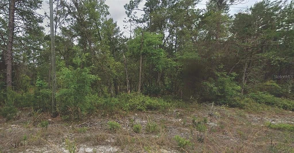 120 New York Ave #4 Satsuma, FL 32189 - Thumbnail 2