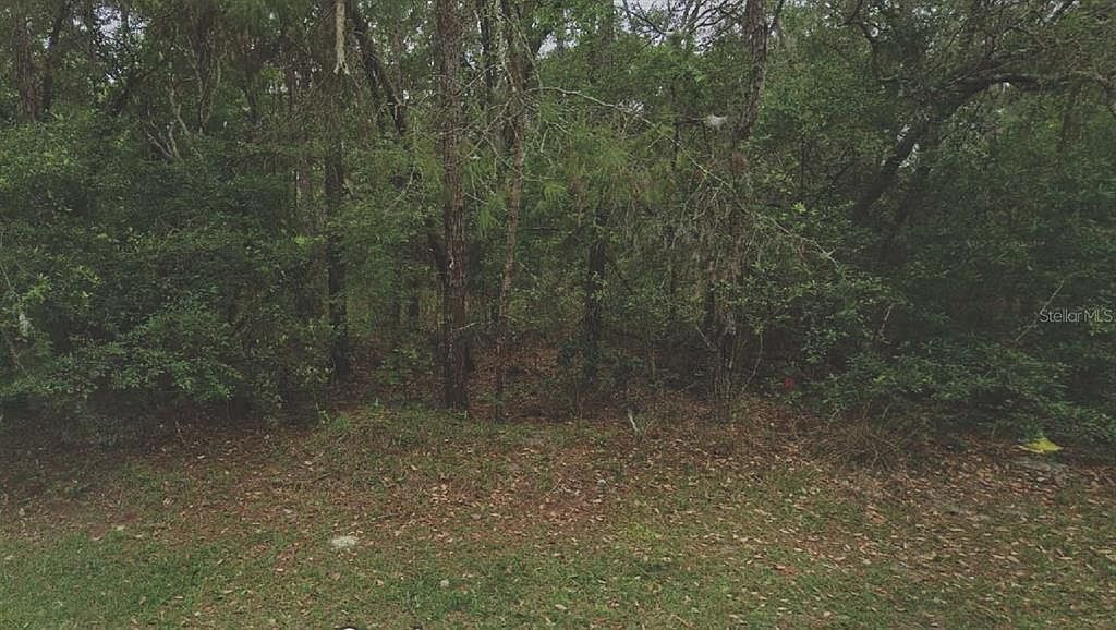 105 Rhode Island Ave #17 Satsuma, FL 32189 - Thumbnail 2