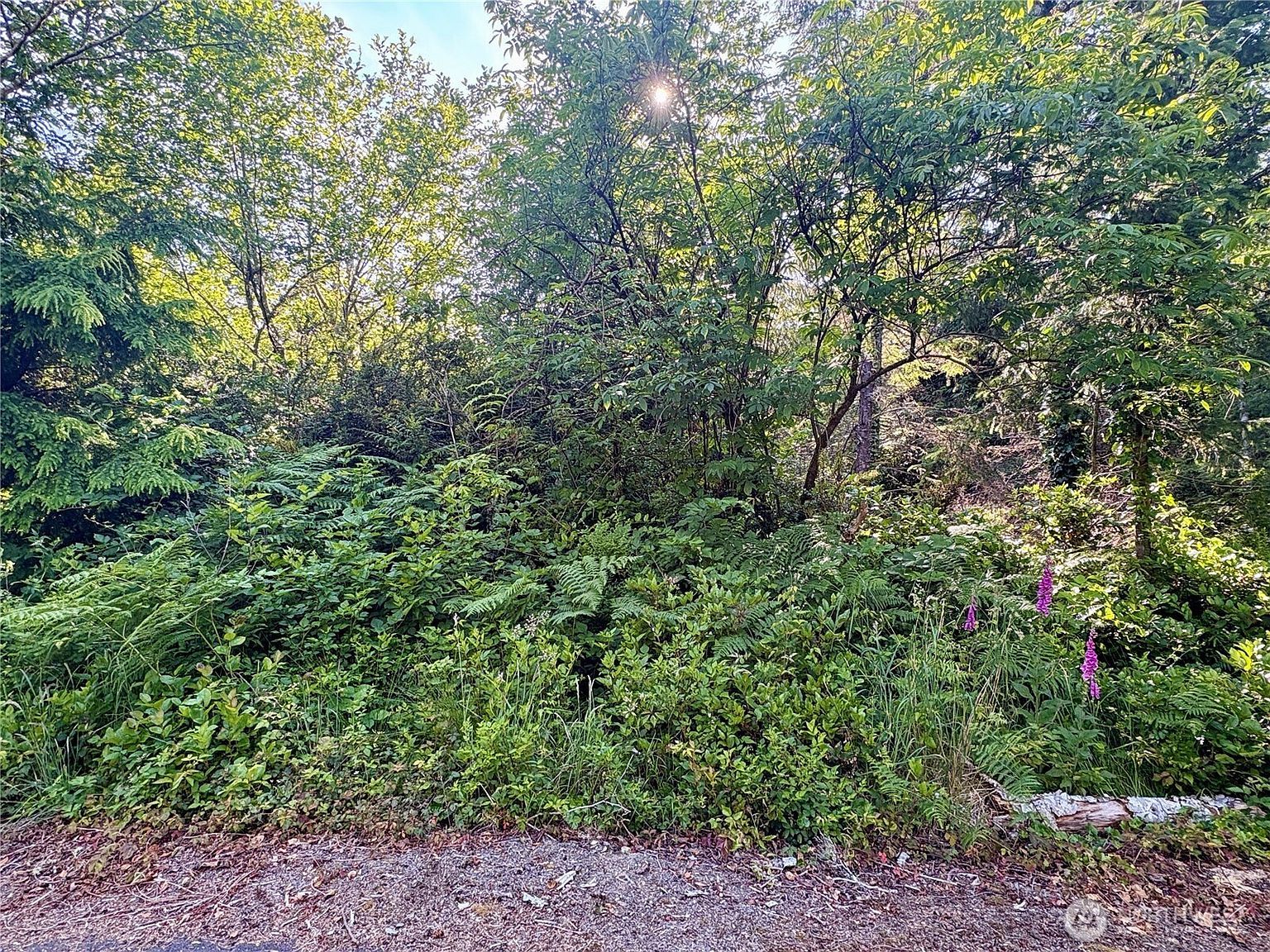 285 Xx Z St Ocean Park, WA 98640 - Thumbnail 2