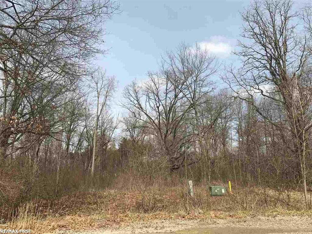 657 Donna Mae Lane, Township of Addison, MI, USA, 48367 - Thumbnail 2