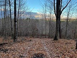 LOT 2 Two Brimfield Rd Warren, MA 01083 - Thumbnail 2