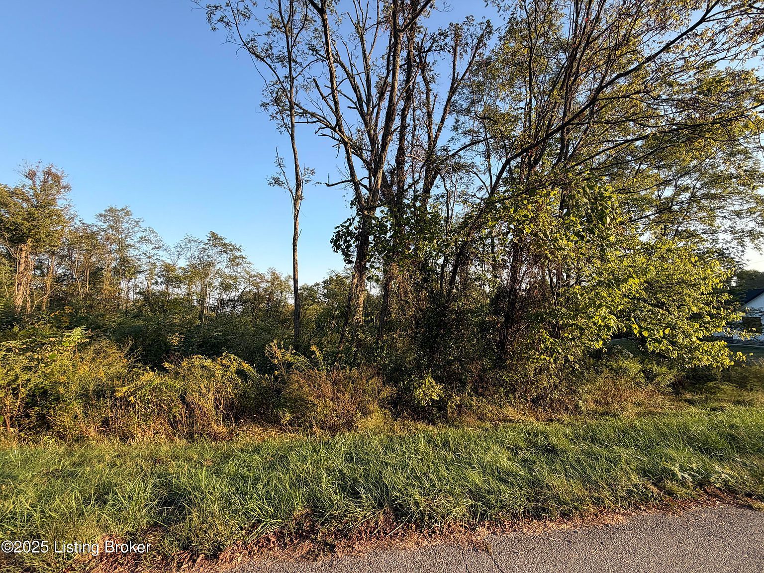 28 Freesia Ct Brandenburg, KY 40108, 40108