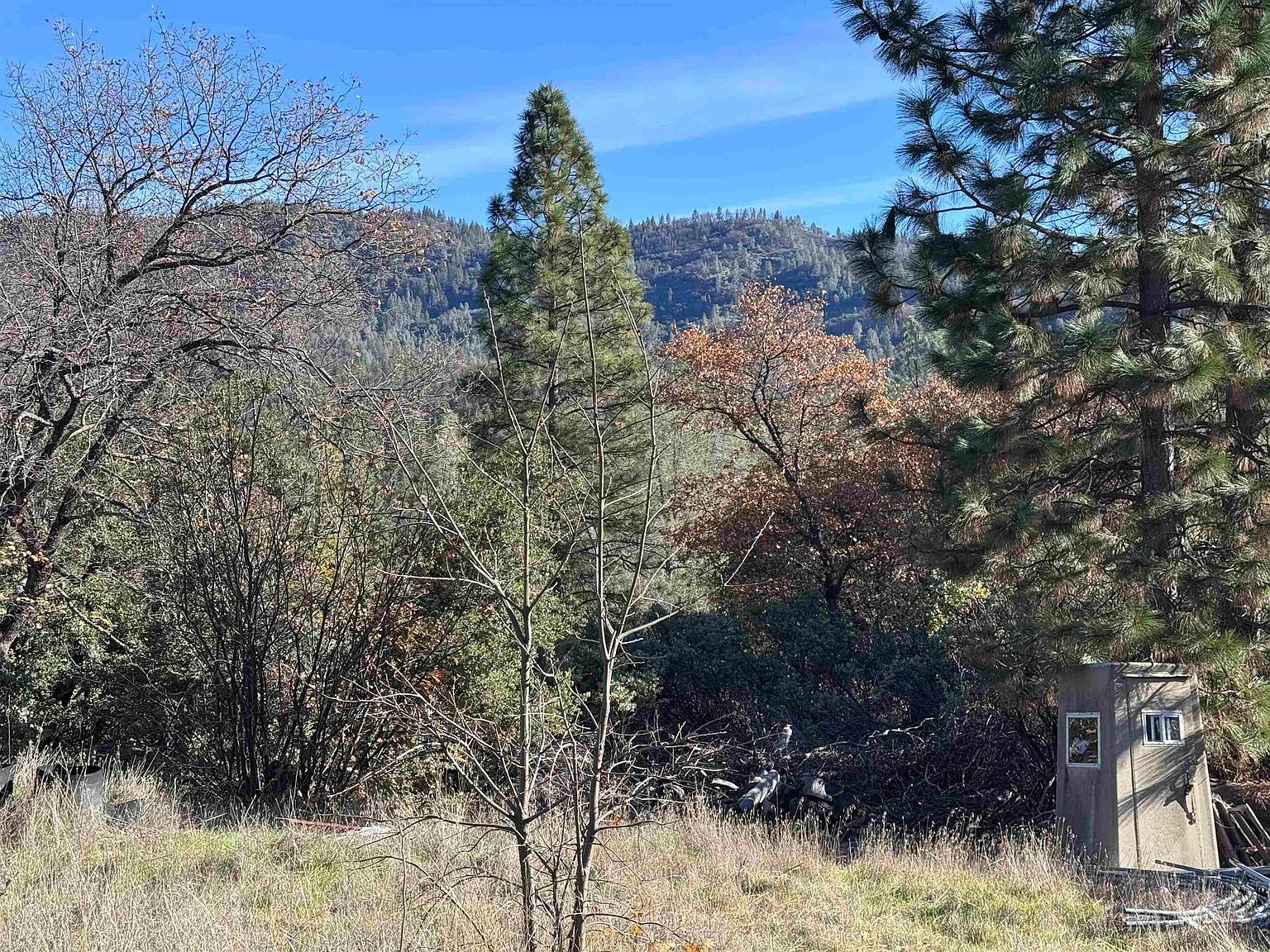 28560 Italian Bar Rd Twain Harte, CA 95383 - Thumbnail 2