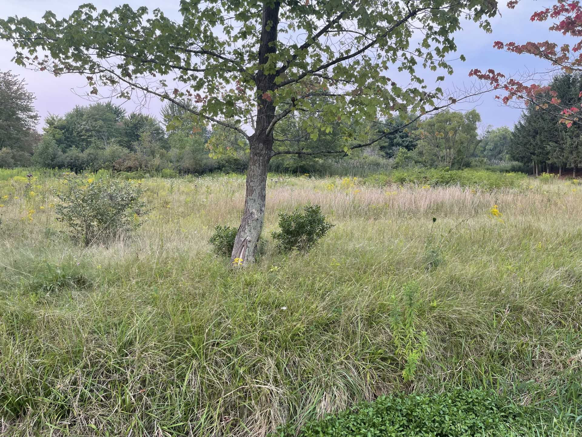 VL Ward Drive, Chesterland, OH, 44026 - Thumbnail 3