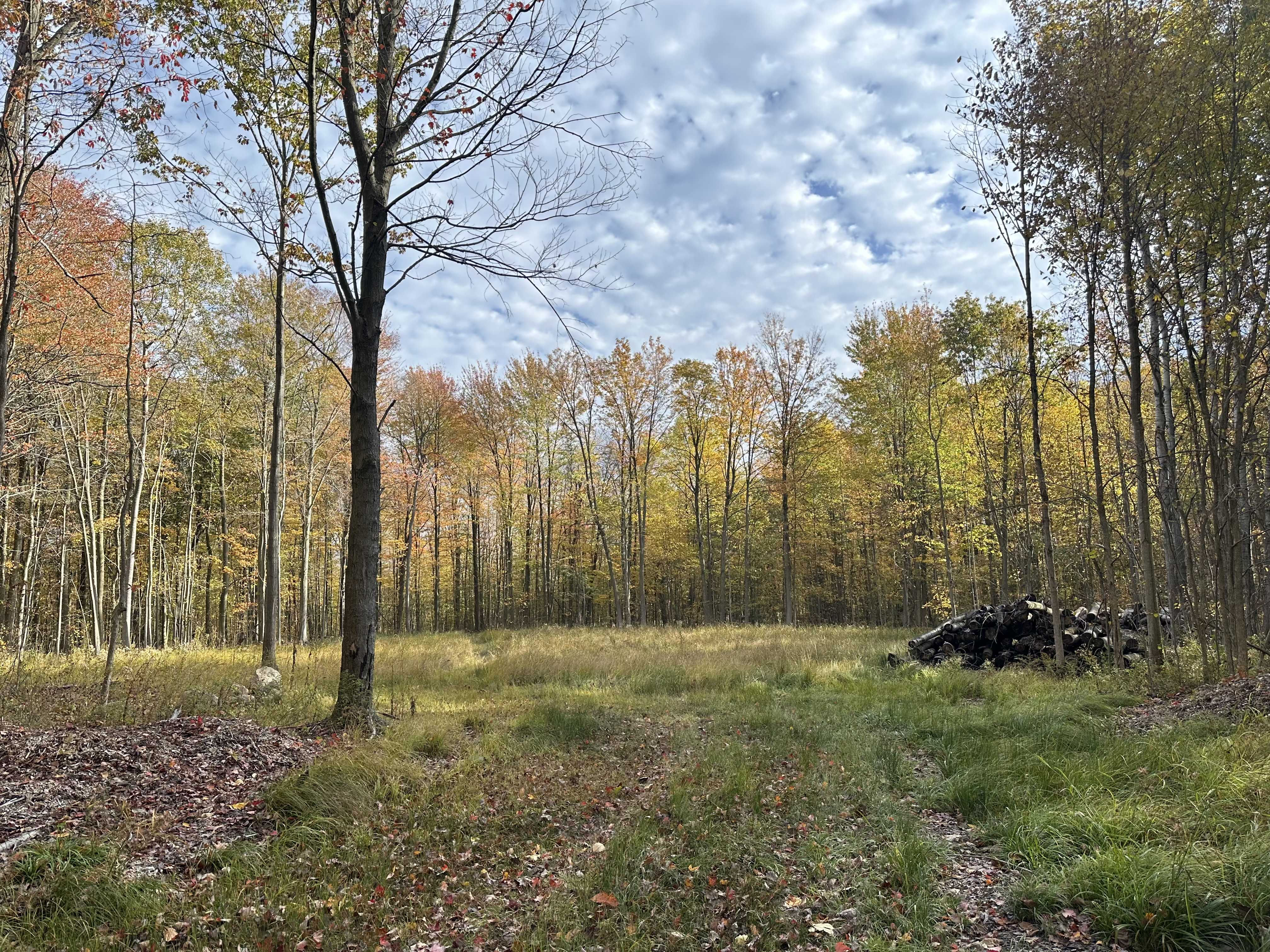 11611 Washington St, Chagrin Falls, OH, USA, 44023 - Thumbnail 2