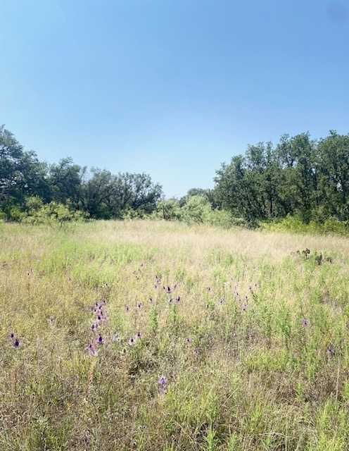 6599 Ennis Dr, Brownwood, TX, 76801  | Land/Lot