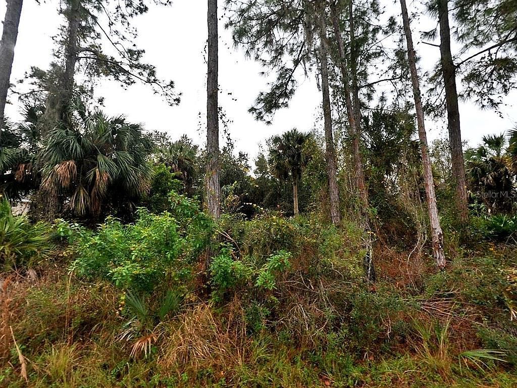 Cissus Ave LOT 12 North Pt, FL 34288 - Thumbnail 2
