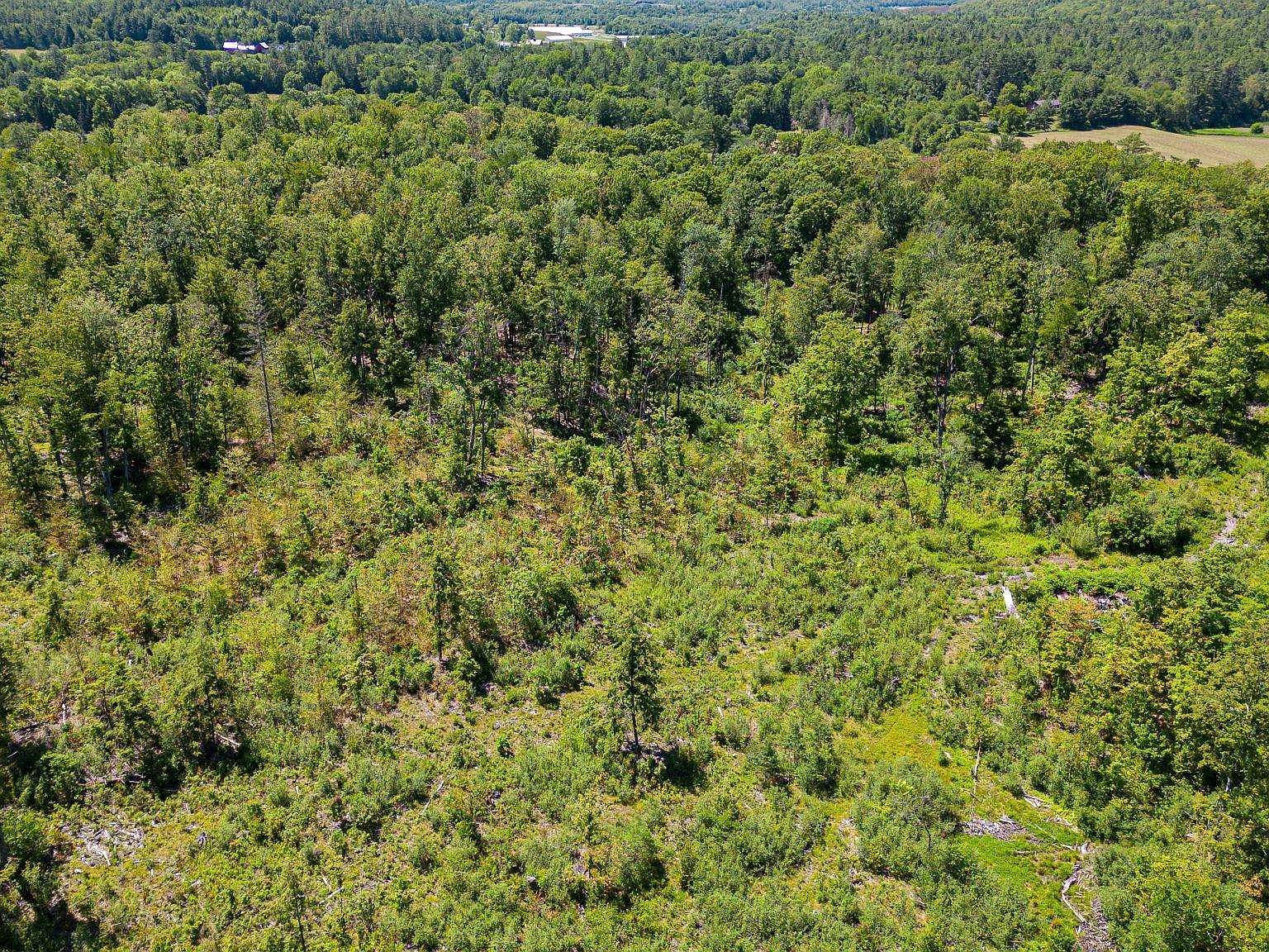 458 Cheshire Tpke #2 Alstead, NH 03602 - Thumbnail 2