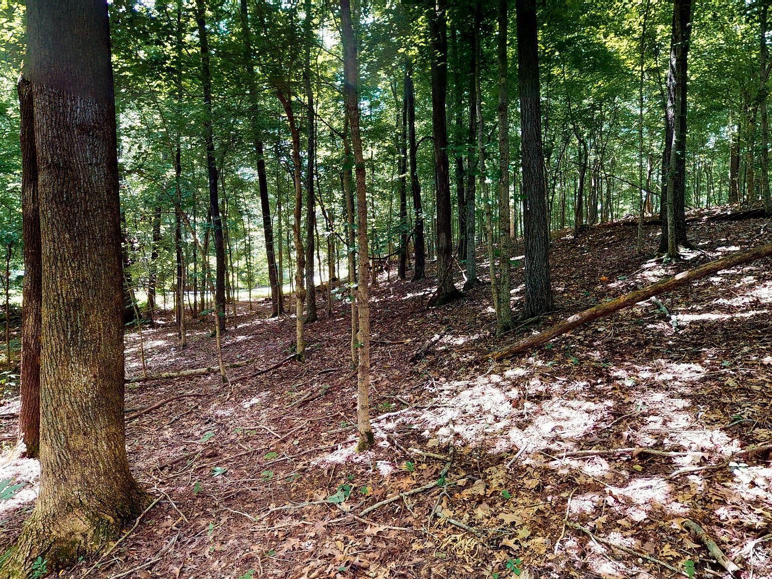 Champion Hills Lots #32-33-31 Kuttawa, KY 42055 - Thumbnail 2