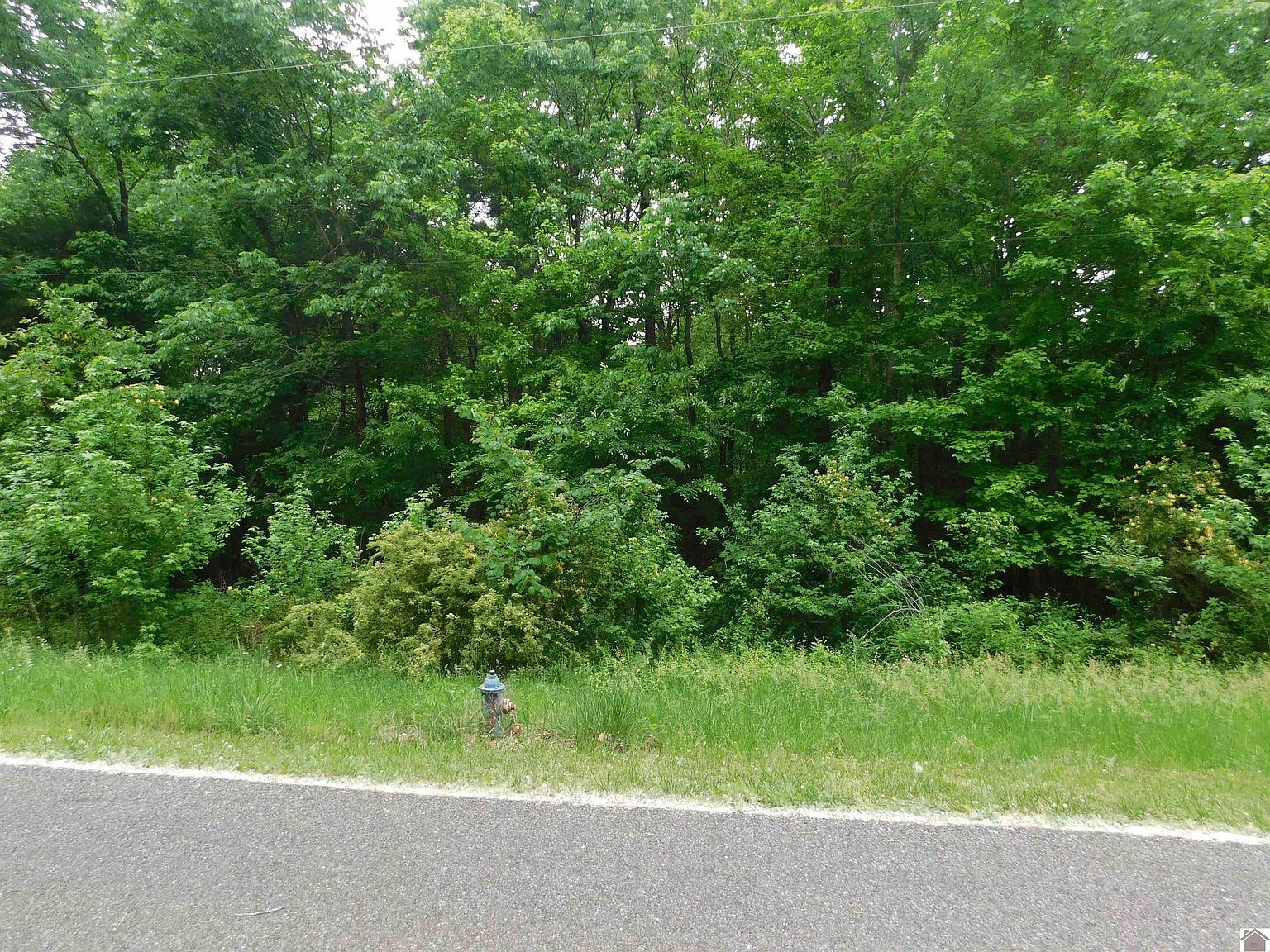 Lots 63 64 65 Arrowhead Acres Princeton, KY 42445, 42445