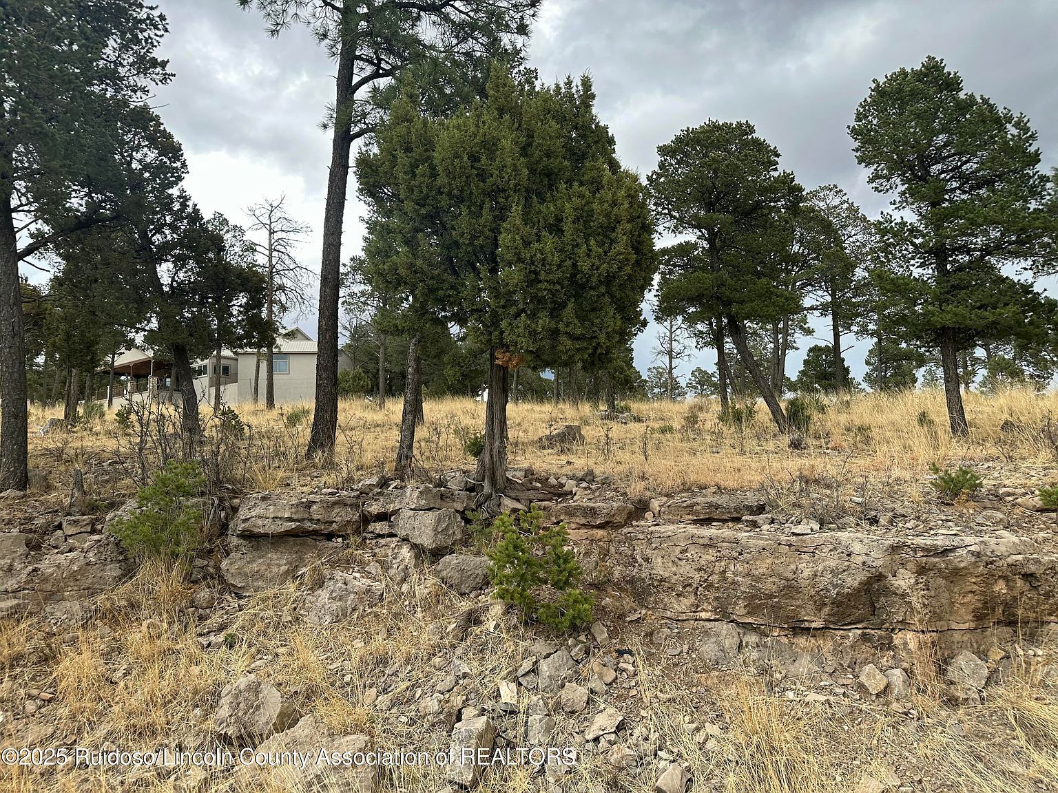 102 Avalon Ct Ruidoso, NM 88345 - Thumbnail 2