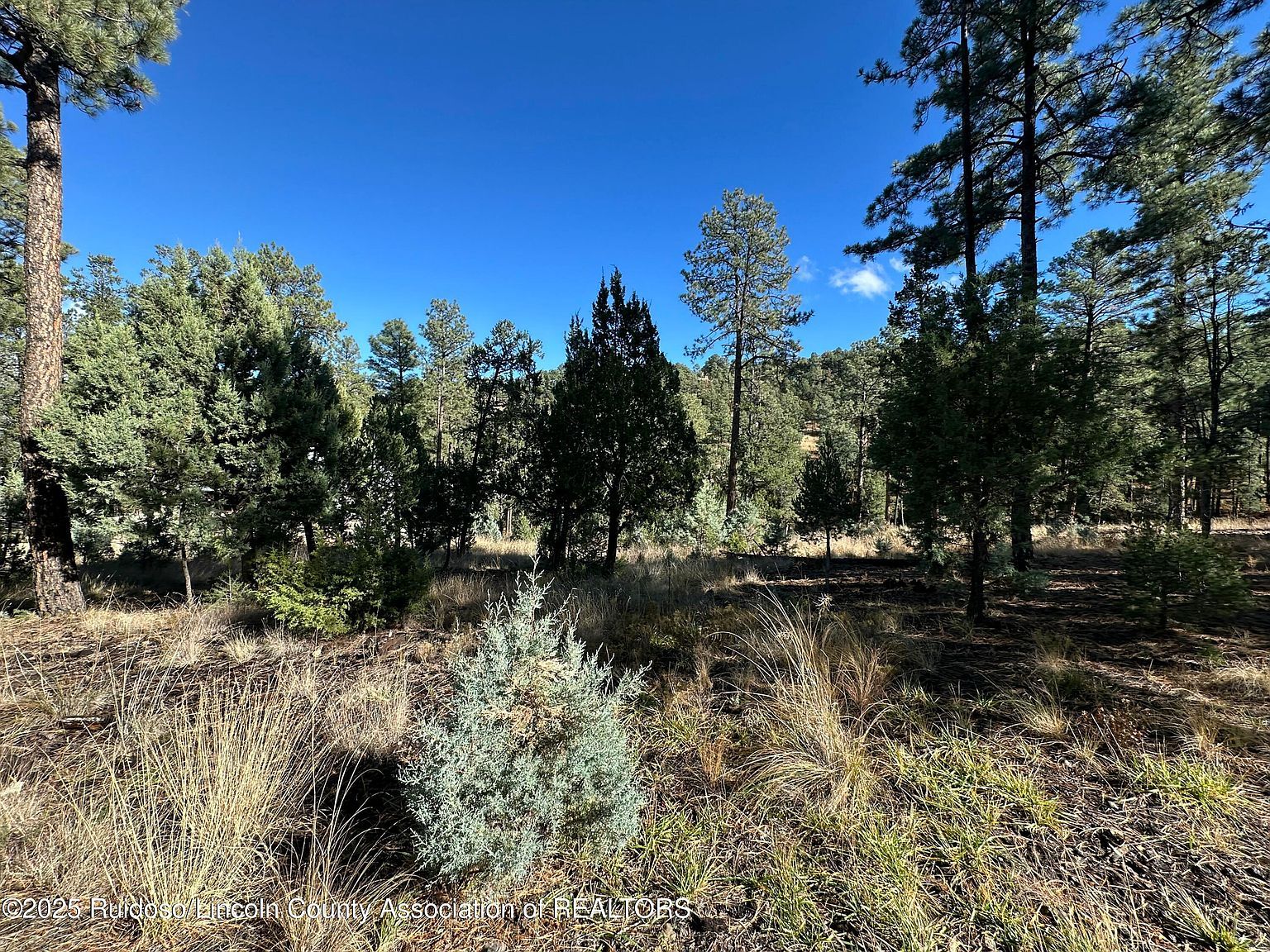 152 Del Monte Dr Alto, NM 88312 - Thumbnail 2