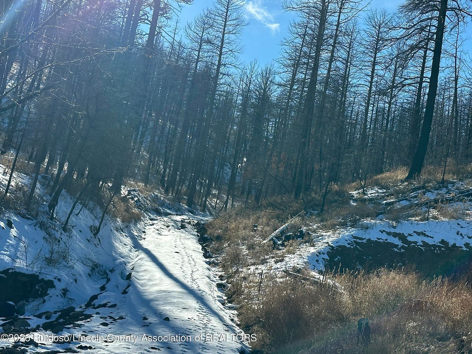 155 Jarratt Loop Ruidoso, NM 88345 - Thumbnail 2