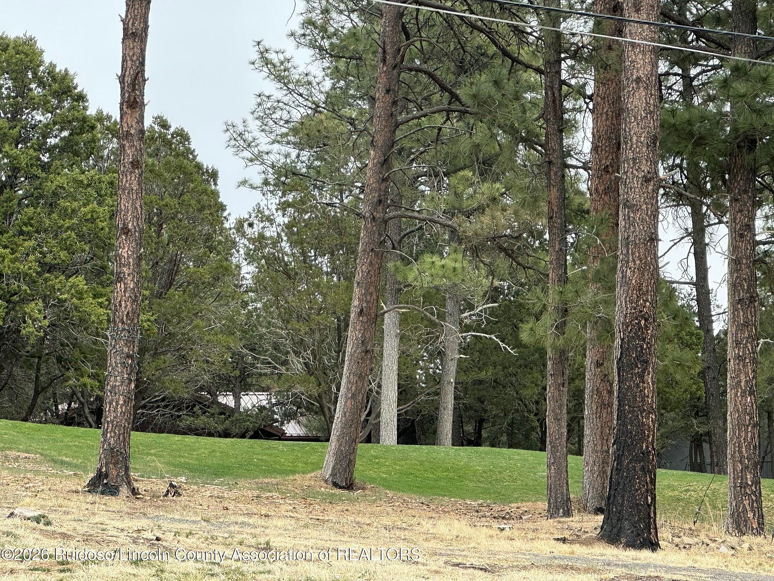 125 Crown Ridge Rd Alto, NM 88312 | Land/Lot