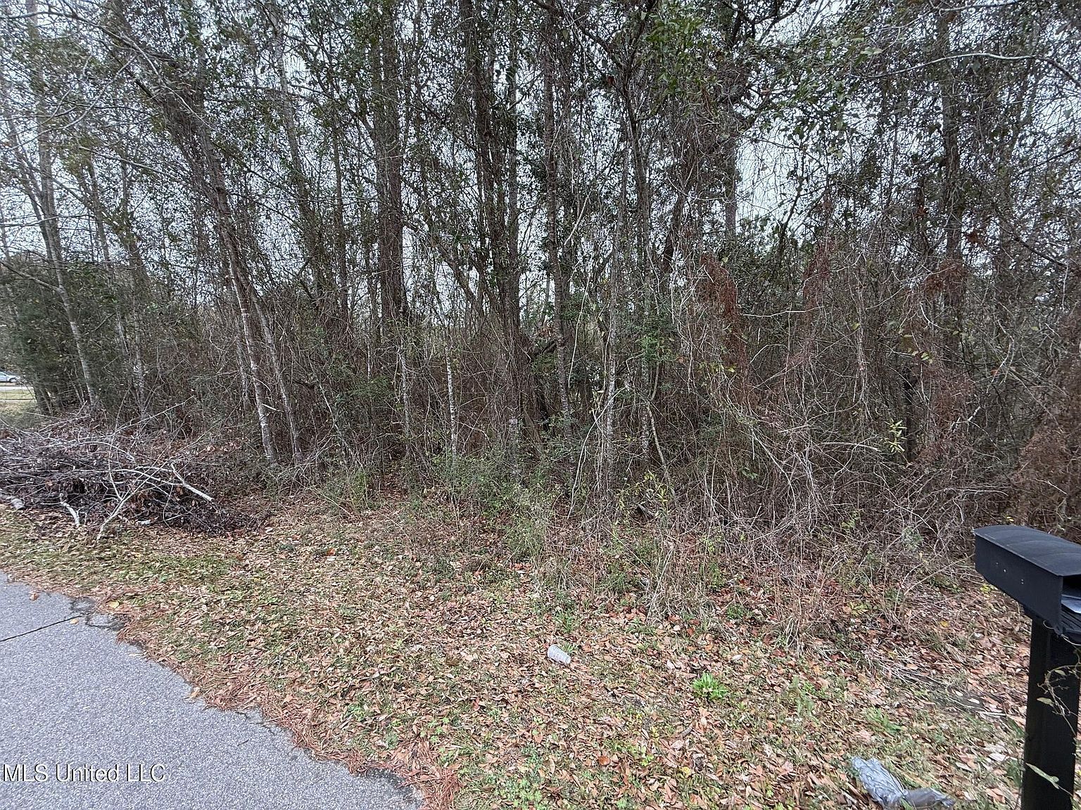 10739 Lilinoe Way #20 Diamondhead, MS 39525  | Land/Lot