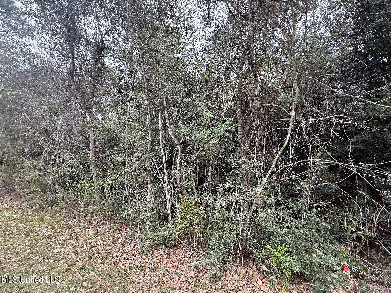 97179 Kapalama Dr #51 Diamondhead, MS 39525  | Land/Lot
