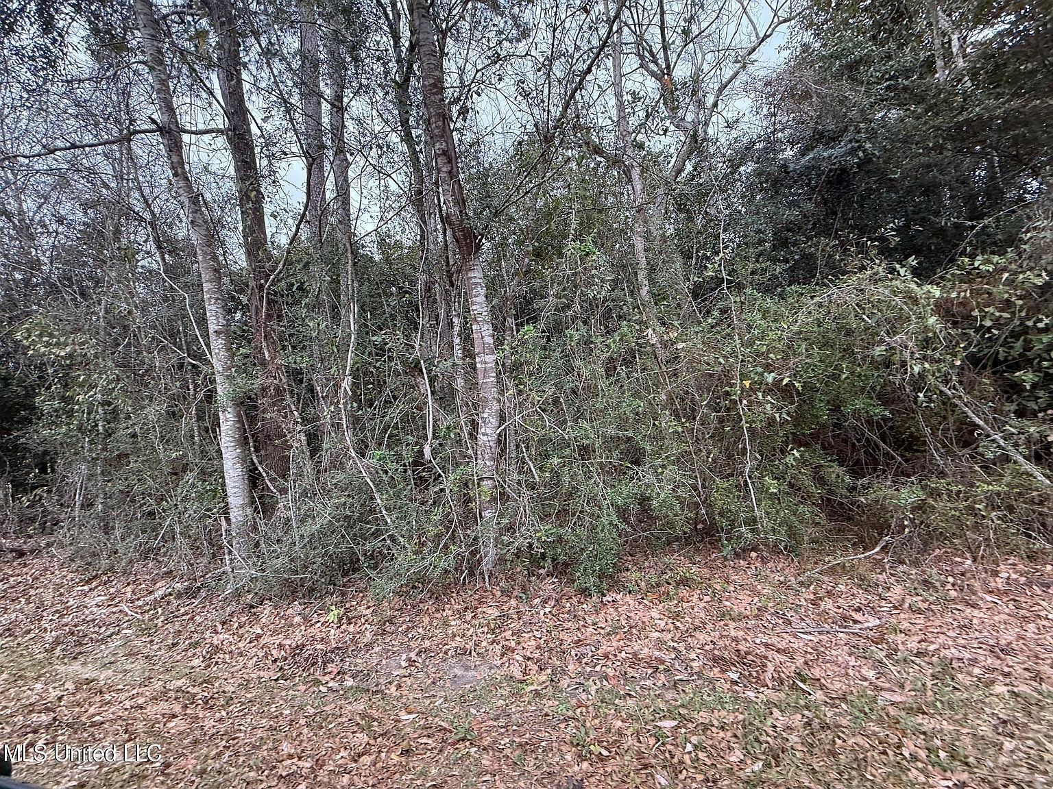 97175 Kapalama Dr #49 Diamondhead, MS 39525  | Land/Lot