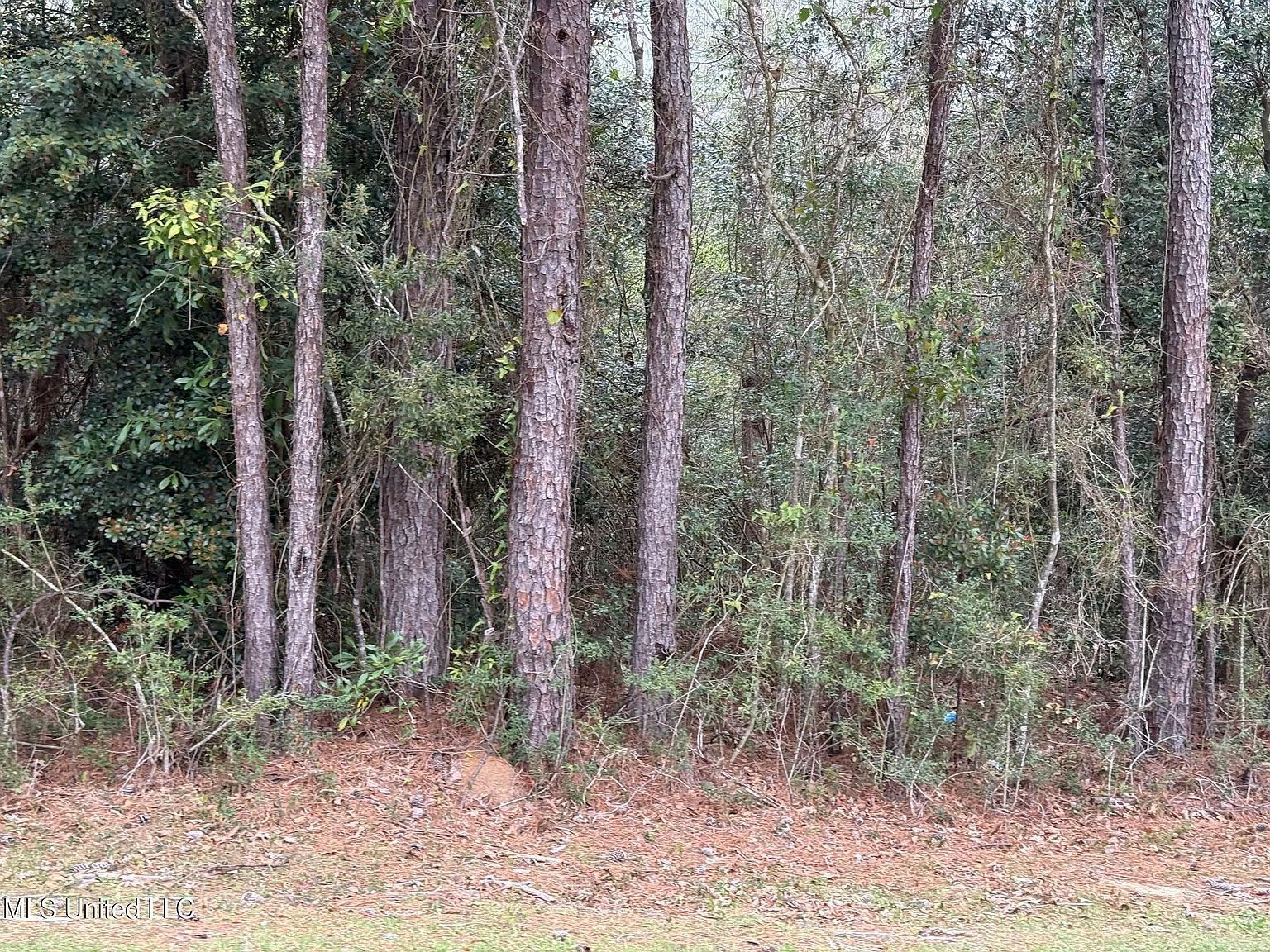97172 Kapalama Dr #48 Diamondhead, MS 39525  | Land/Lot