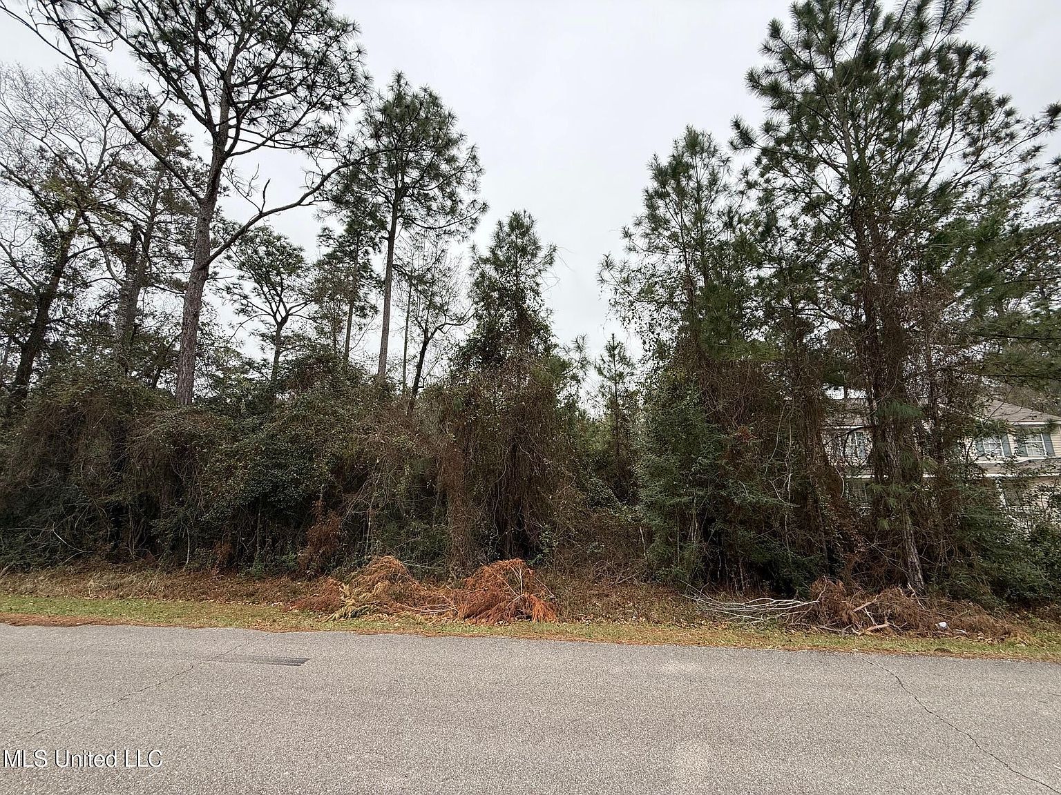10726 Limu Way #48 Diamondhead, MS 39525  | Land/Lot