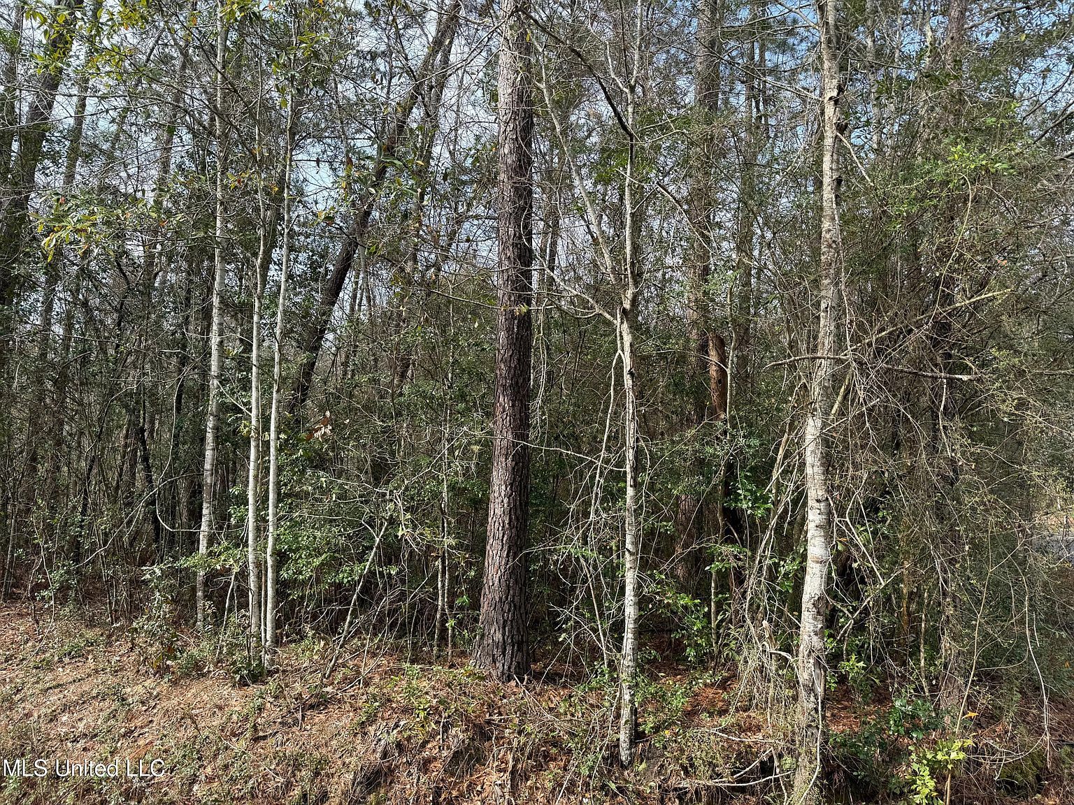 1082 Koloa Ct #30 Diamondhead, MS 39525  | Land/Lot