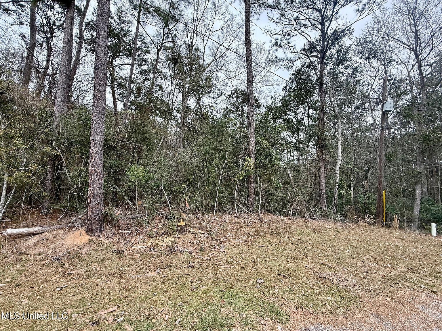 8497 Op La Way #20 Diamondhead, MS 39525  | Land/Lot