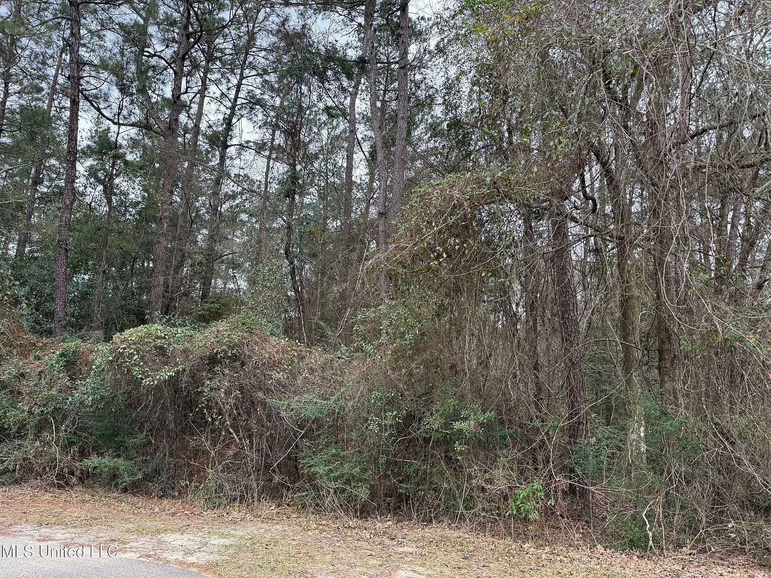 9520 Lono Pl #31 Diamondhead, MS 39525 - Thumbnail 2