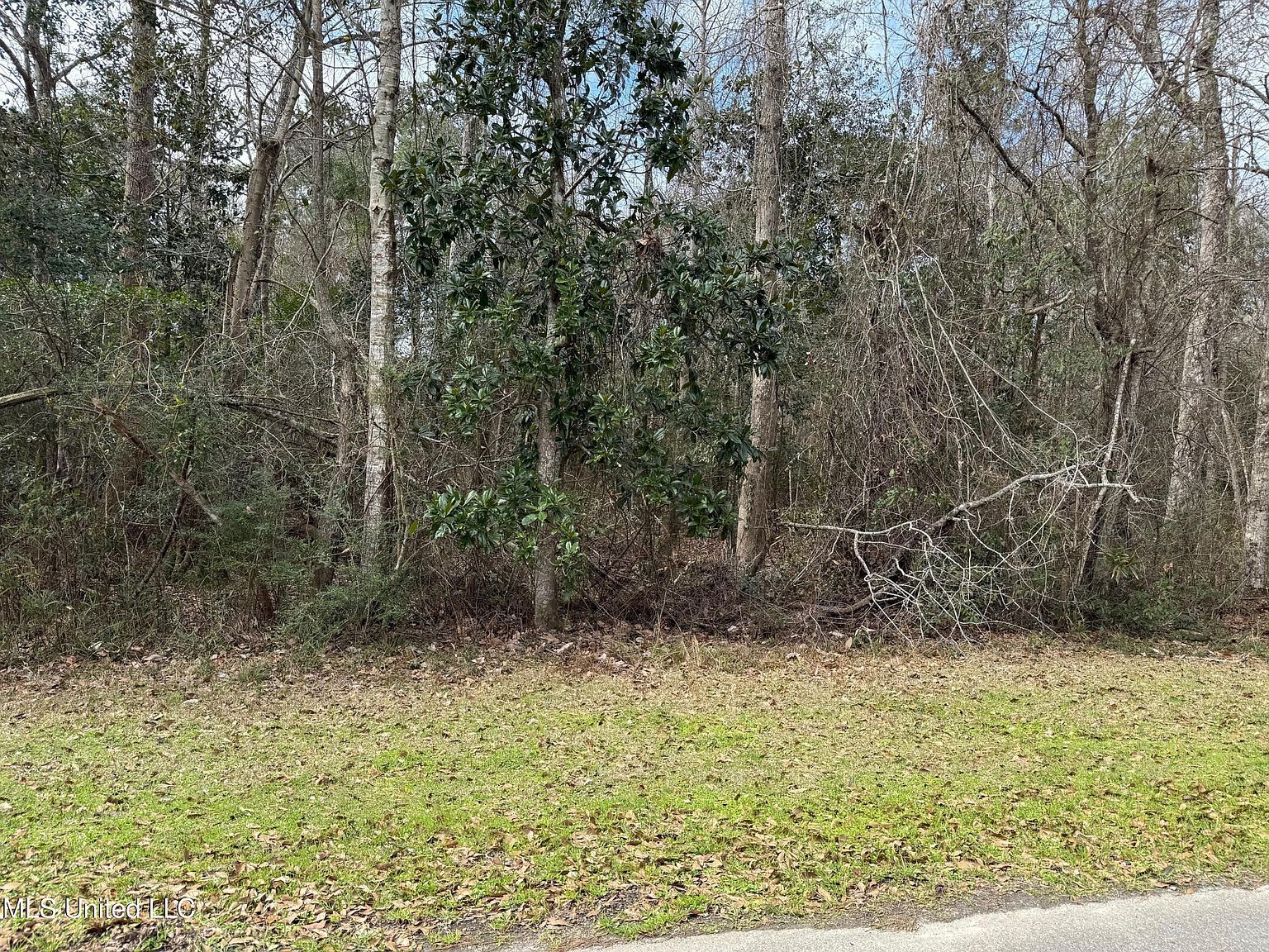 6329 Apelehama Rd #60 Diamondhead, MS 39525  | Land/Lot