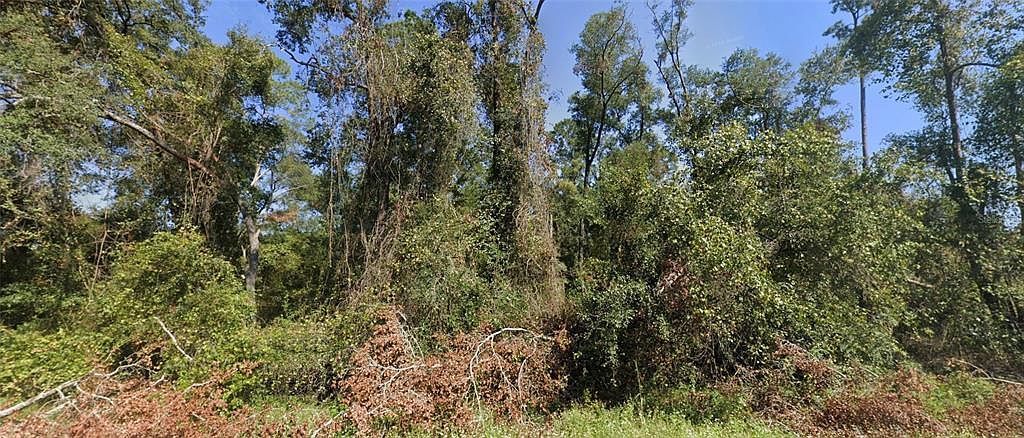 NW Suwannee Valley Rd Lot 21 Lake City, FL 32055 - Thumbnail 2