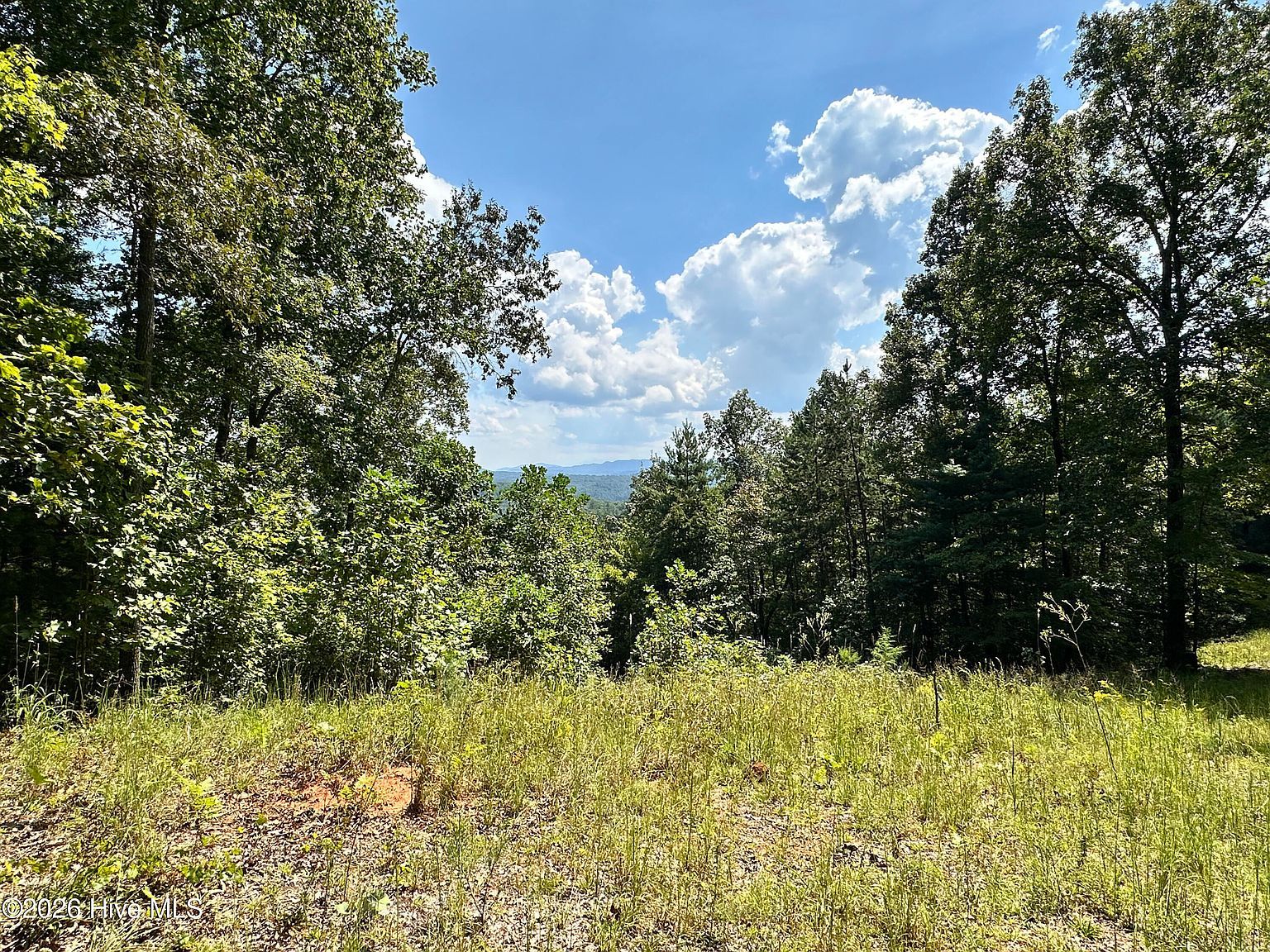 872 Majestic Mountain Trail LOT T-11, T-12 Murphy, NC 28906, 28906