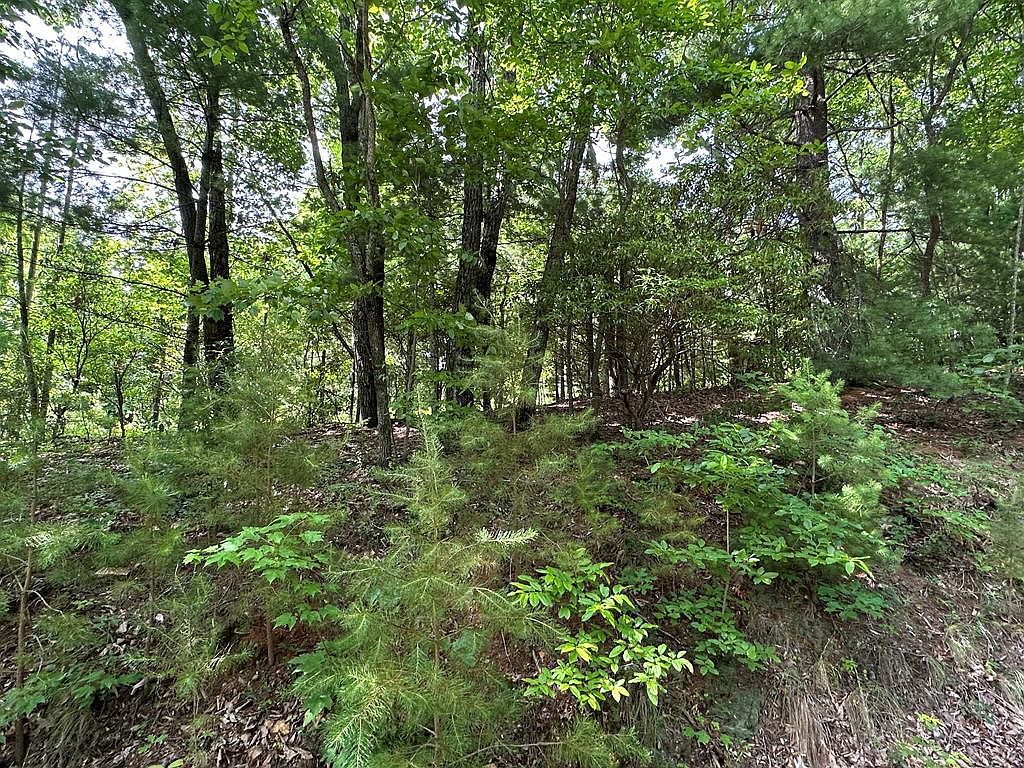 Lot 31 Peak Trail LOT 31 Murphy, NC 28906, 28906