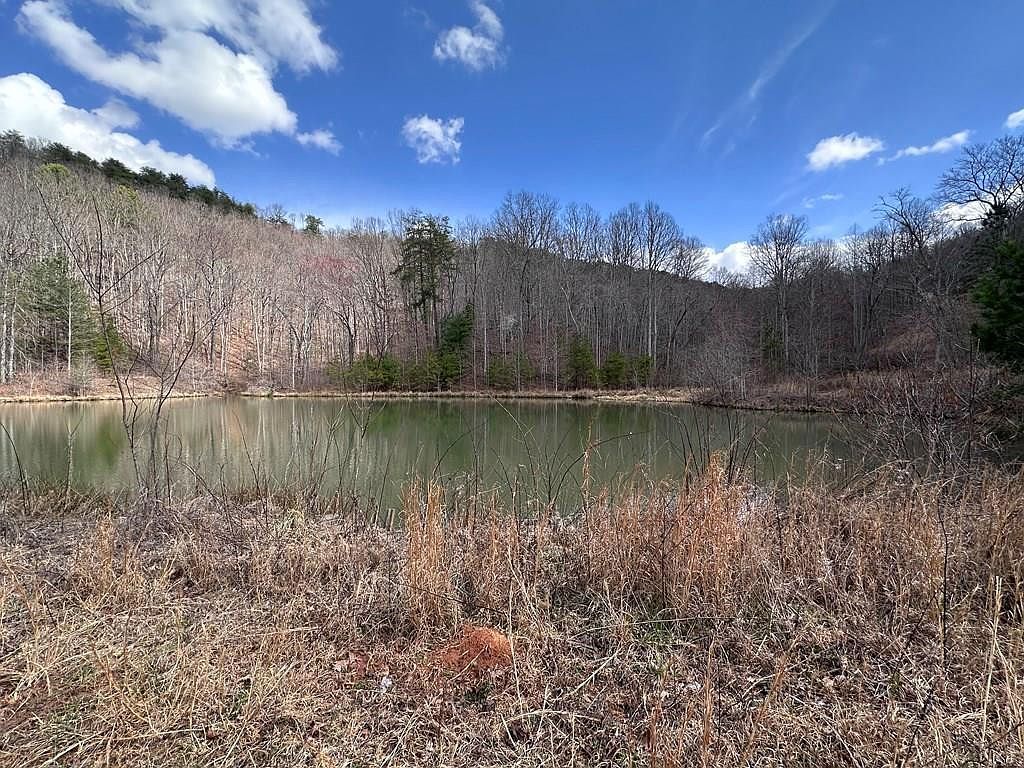 Tbd Pack Mountain Road Murphy, NC 28906, 28906
