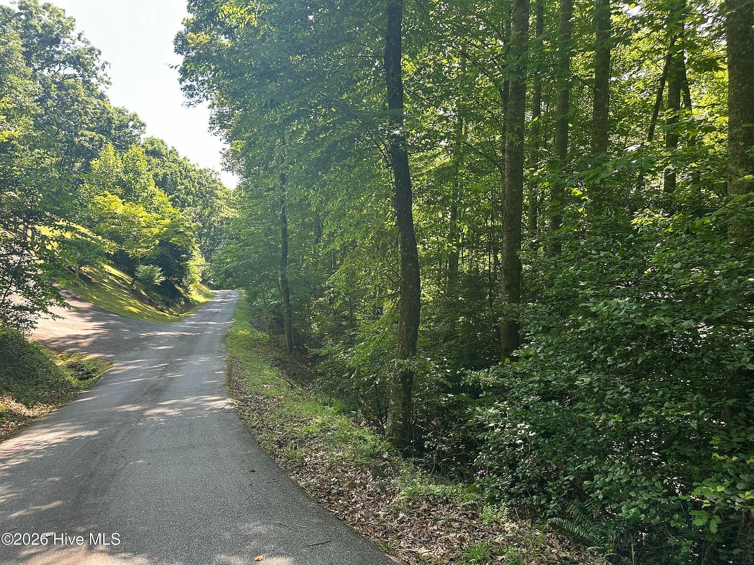 6 Bartram Trail Road Franklin, NC 28734, 28734
